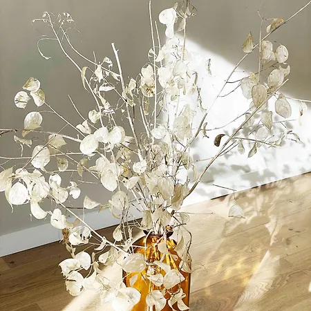 Fenêtre Sur Cour - Centre - Parking Privé Appartamento *